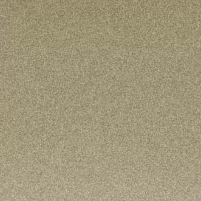Metallic Bronze lackiert