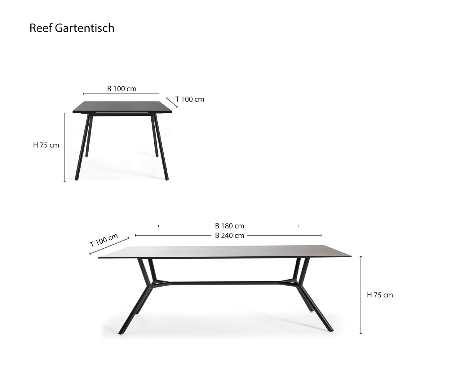 Oasiq Reef garden designer dining table sketch dimensions sizes dimensions