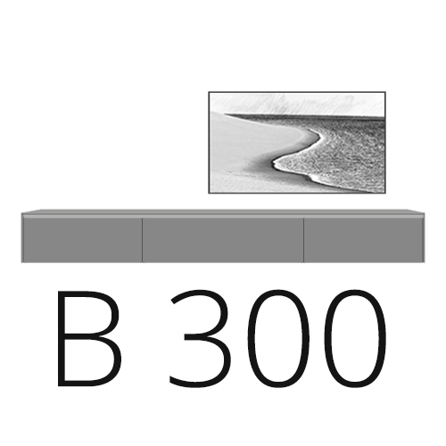 B 300 cm