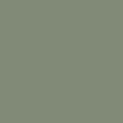 Grün Matt lackiert - 342 FOGLIA (ähnlich RAL6003)