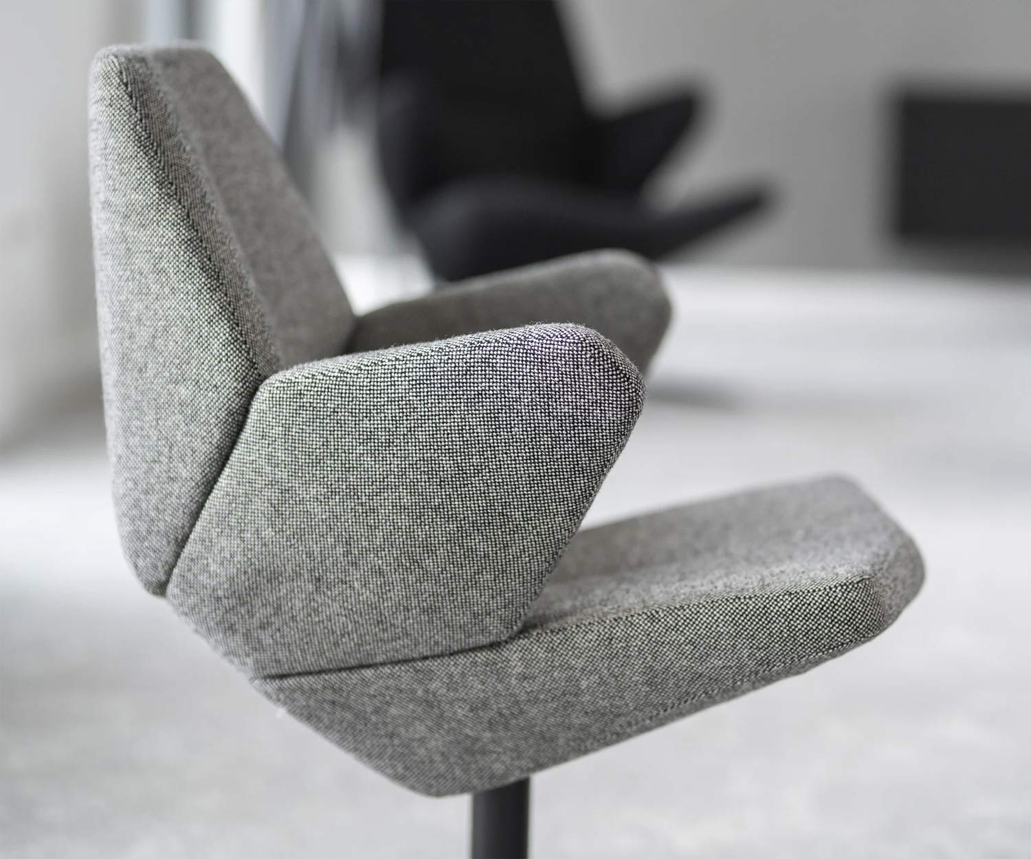 Prostoria Sessel Trifidae Prostoria Sessel Trifidae