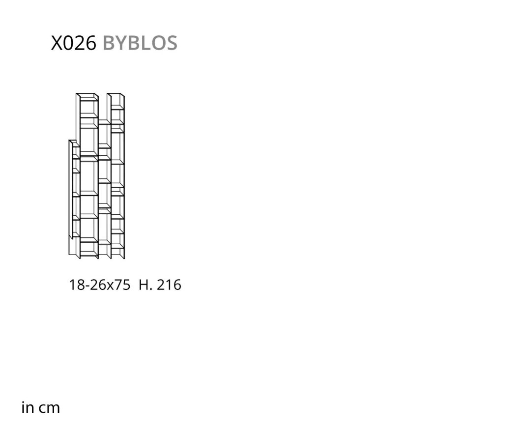 Ozzio Byblos X026 Design wall shelf for books